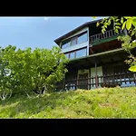 александрова 2 *