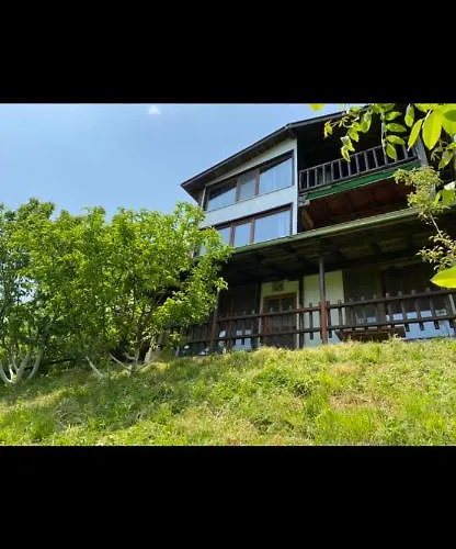 александрова 2 *